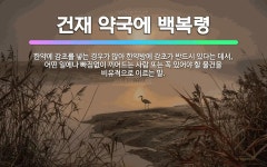 🌟건재 약국에 백복령: 한약에 감초를 넣는 경우가 많아 한약방에 감초가 반드시 있다는 데서, 어떤 일에나 ... - 표준국어대사전