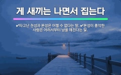 🌟게 새끼는 나면서 집는다: 본성이 흉악한 사람은 어려서부터 남을 해친다는 말., 타고난 천성과 본성은 어... - 표준국어대사전