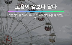 🌟고욤이 감보다 달다: 작은 것이 큰 것보다 오히려 알차고 질이 좋을 때 이르는 말. - 표준국어대사전