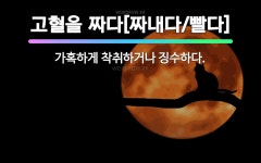 🌟고혈을 짜다[짜내다/빨다]: 가혹하게 착취하거나 징수하다. - 표준국어대사전