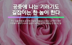 🌟짝 잃은 기러기: 몹시 외로운 사람을 비유적으로 이르는 말., 홀아비나 홀어미의 외로운 신세를 비유적으로... - 표준국어대사전