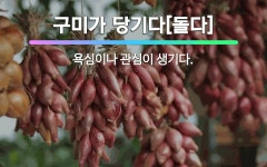 🌟구미가 당기다[돌다]: 욕심이나 관심이 생기다. - 표준국어대사전