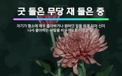 🌟굿 들은 무당 재 들은 중: 자기가 평소에 매우 좋아하거나 원하던 일을 하게 되어 신이 나서 좋아하는 사... - 표준국어대사전