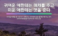 🌟귀여운 애한테는 매채를 주고 미운 애한테는 엿을 준다: 아이들 버릇을 잘 가르치기 위해서는 아이에게 당장... - 표준국어대사전