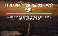 🌟사위와 씨아는 먹어도 안 먹는다: 목화씨 뽑는 씨아는 잘 먹어도 잘 안 먹는다고 하듯이 사위가 먹을 만큼... - 표준국어대사전