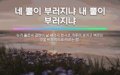 🌟네 뿔이 부러지냐 내 뿔이 부러지냐: 누가 옳은지 결판이 날 때까지 한사코 겨루어 보자고 벼르는 것을 비... - 표준국어대사전