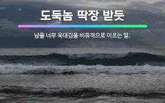 🌟도둑놈 딱장 받듯: 남을 너무 욱대김을 비유적으로 이르는 말. - 표준국어대사전