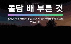 🌟돌담 배 부른 것: 도무지 유용한 데는 없고 해만 끼치는 존재를 비유적으로 이르는 말. - 표준국어대사전
