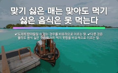 🌟맞기 싫은 매는 맞아도 먹기 싫은 음식은 못 먹는다: 다른 것은 몰라도 음식 싫은 것은 도저히 먹지 못함... - 표준국어대사전