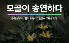 🌟모골이 송연하다: 끔찍스러워서 몸이 으쓱하고 털끝이 쭈뼛해지다. - 표준국어대사전