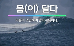 🌟몸(이) 달다: 마음이 조급하여 안타까워하다. - 표준국어대사전
