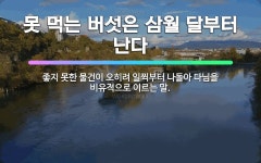 🌟못된 버섯이 삼월 달부터 난다: 좋지 못한 물건이 오히려 일찍부터 나돌아 다님을 비유적으로 이르는 말. - 표준국어대사전