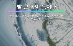 🌟발 큰 놈이 득이다: 무슨 일이고 동작이 날쌘 사람이 이로움을 비유적으로 이르는 말. - 표준국어대사전
