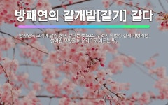 🌟방패연의 갈개발[갈기] 같다: 방패연의 꼬리에 달린 종이 같다는 뜻으로, 무엇이 특별히 길게 치렁치렁 늘... - 표준국어대사전