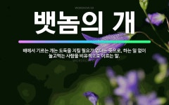 🌟뱃놈의 개: 배에서 기르는 개는 도둑을 지킬 필요가 없다는 뜻으로, 하는 일 없이 놀고먹는 사람을 비유적... - 표준국어대사전