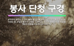 🌟봉사 단청 구경: 아무리 보아도 그 진미(眞美)를 알아볼 능력이 없는 경우를 비유적으로 이르는 말., 눈... - 표준국어대사전