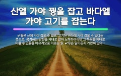 🌟산엘 가야 꿩을 잡고 바다엘 가야 고기를 잡는다: 꿩은 산에 가야 잡을 수 있고, 고기는 바다에 가야 잡... - 표준국어대사전