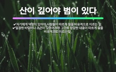 🌟산이 깊어야 범이 있다: 자기에게 덕망이 있어야 사람들이 따르게 됨을 비유적으로 이르는 말., 일정한 바... - 표준국어대사전