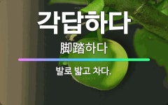 🌟각답하다: 발로 밟고 차다. - 표준국어대사전
