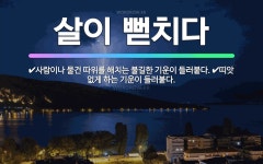 🌟살이 뻗치다: 사람이나 물건 따위를 해치는 불길한 기운이 들러붙다., 띠앗 없게 하는 기운이 들러붙다. - 표준국어대사전