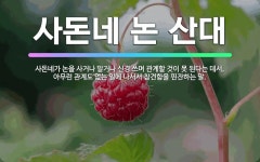 🌟사돈네 논 산대: 사돈네가 논을 사거나 말거나 신경 쓰며 관계할 것이 못 된다는 데서, 아무런 관계도 없... - 표준국어대사전