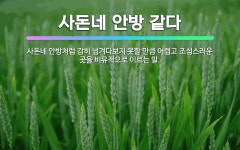 🌟사돈네 안방 같다: 사돈네 안방처럼 감히 넘겨다보지 못할 만큼 어렵고 조심스러운 곳을 비유적으로 이르는 말. - 표준국어대사전