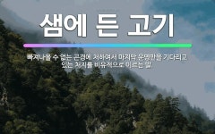 🌟샘에 든 고기: 빠져나올 수 없는 곤경에 처하여서 마지막 운명만을 기다리고 있는 처지를 비유적으로 이르는 말. - 표준국어대사전