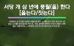 🌟서당 개 삼 년에 풍월(을) 한다[읊는다/짓는다]: 서당에서 삼 년 동안 살면서 매일 글 읽는 소리를 듣... - 표준국어대사전