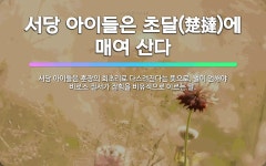 🌟서당 아이들은 초달(楚撻)에 매여 산다: 서당 아이들은 훈장의 회초리로 다스려진다는 뜻으로, 벌이 엄해야... - 표준국어대사전