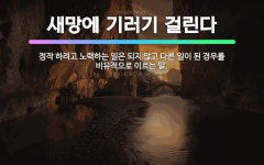 🌟새망에 기러기 걸린다: 정작 하려고 노력하는 일은 되지 않고 다른 일이 된 경우를 비유적으로 이르는 말. - 표준국어대사전