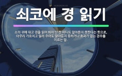 🌟쇠코에 경 읽기: 소의 귀에 대고 경을 읽어 봐야 단 한 마디도 알아듣지 못한다는 뜻으로, 아무리 가르치... - 표준국어대사전