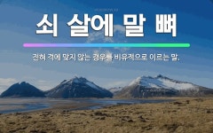 🌟쇠 살에 말 뼈: 전혀 격에 맞지 않는 경우를 비유적으로 이르는 말. - 표준국어대사전