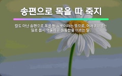 🌟송편으로 목을 따 죽지: 칼도 아닌 송편으로 목을 딸 노릇이라는 뜻으로, 어처구니없는 일로 몹시 억울하고... - 표준국어대사전