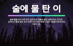 🌟술에 물 탄 이: 술에 물을 타서 아무 맛도 없게 만든 맹물과 같은 사람이라는 뜻으로, 성격이나 품성 같... - 표준국어대사전