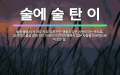 🌟술에 술 탄 이: 술에 물을 타서 아무 맛도 없게 만든 맹물과 같은 사람이라는 뜻으로, 성격이나 품성 같... - 표준국어대사전