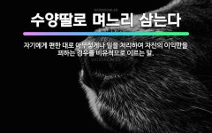 🌟수양딸로 며느리 삼는다: 자기에게 편한 대로 아무렇게나 일을 처리하여 자신의 이익만을 꾀하는 경우를 비유... - 표준국어대사전