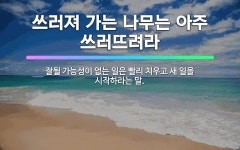 🌟쓰러져 가는 나무는 아주 쓰러뜨려라: 잘될 가능성이 없는 일은 빨리 치우고 새 일을 시작하라는 말. - 표준국어대사전