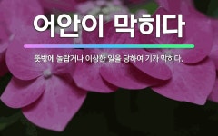 🌟어안이 막히다: 뜻밖에 놀랍거나 이상한 일을 당하여 기가 막히다. - 표준국어대사전