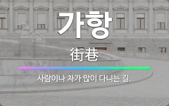 🌟가항: 사람이나 차가 많이 다니는 길. - 표준국어대사전