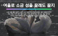 🌟여울로 소금 섬을 끌래도 끌지: 소금 섬을 물로 끌면 소금이 녹아 없어져서 애쓴 보람도 없이 일을 망치고... - 표준국어대사전