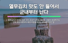 🌟시지도 않아서 군내부터 먼저 난다: 열무김치가 익지도 않은 것이 군내가 난다는 뜻으로, 사람이 장성하기도... - 표준국어대사전