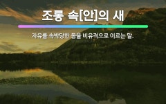 🌟조롱 속[안]의 새: 자유를 속박당한 몸을 비유적으로 이르는 말. - 표준국어대사전