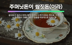 🌟주머닛돈이 쌈짓돈(이라): 쌈지에 든 돈이나 주머니에 든 돈이나 다 한가지라는 뜻으로, 그 돈이 그 돈이... - 표준국어대사전