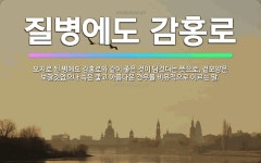 🌟질병에도 감홍로: 오지로 된 병에도 감홍로와 같이 좋은 것이 담겼다는 뜻으로, 겉모양은 보잘것없으나 속은... - 표준국어대사전