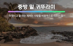 🌟중방 밑 귀뚜라미: 무엇이고 잘 아는 체하는 사람을 비유적으로 이르는 말. - 표준국어대사전