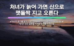 🌟약국집 맷돌인가: 어디에나 두루 쓰는 것을 비유적으로 이르는 말. - 표준국어대사전