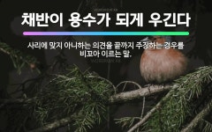 🌟채반이 용수가 되게 우긴다: 사리에 맞지 아니하는 의견을 끝까지 주장하는 경우를 비꼬아 이르는 말. - 표준국어대사전