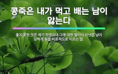 🌟콩죽은 내가 먹고 배는 남이 앓는다: 좋지 못한 짓은 제가 하였으나 그에 대한 벌이나 비난은 남이 당하게... - 표준국어대사전