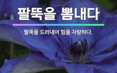 🌟팔뚝을 뽐내다: 팔뚝을 드러내어 힘을 자랑하다. - 표준국어대사전