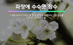 띠앗미장 | 🌟파장에 수수엿 장수: 기회를 놓쳐서 이제는 별 볼 일 없게 된 사람이나 그런 경우를 비유적으로 이르는 말. - 표준국어대사전